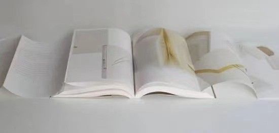 Custom Picture Book Printing Services Hardcover Book Perfect Offset Printing Service 2